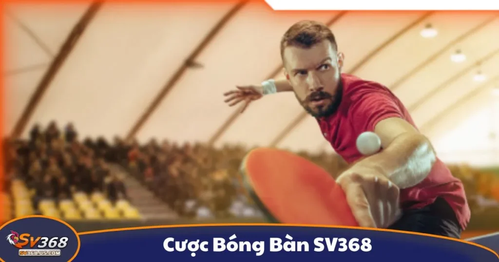 Cược Bóng Bàn SV368 - Cách Cá Cược Thể Thao Tốc Độ Cao 1 Cược Bóng Bàn SV368 - Cách Cá Cược Thể Thao Tốc Độ Cao