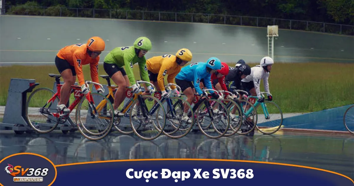 Cược Đạp Xe SV368 - Cách Cá Cược Giải Đua Xe Đỉnh Cao 2 Cá cược đua xe đạp là gì? Hình thức cược thể thao tốc độ tại SV368
