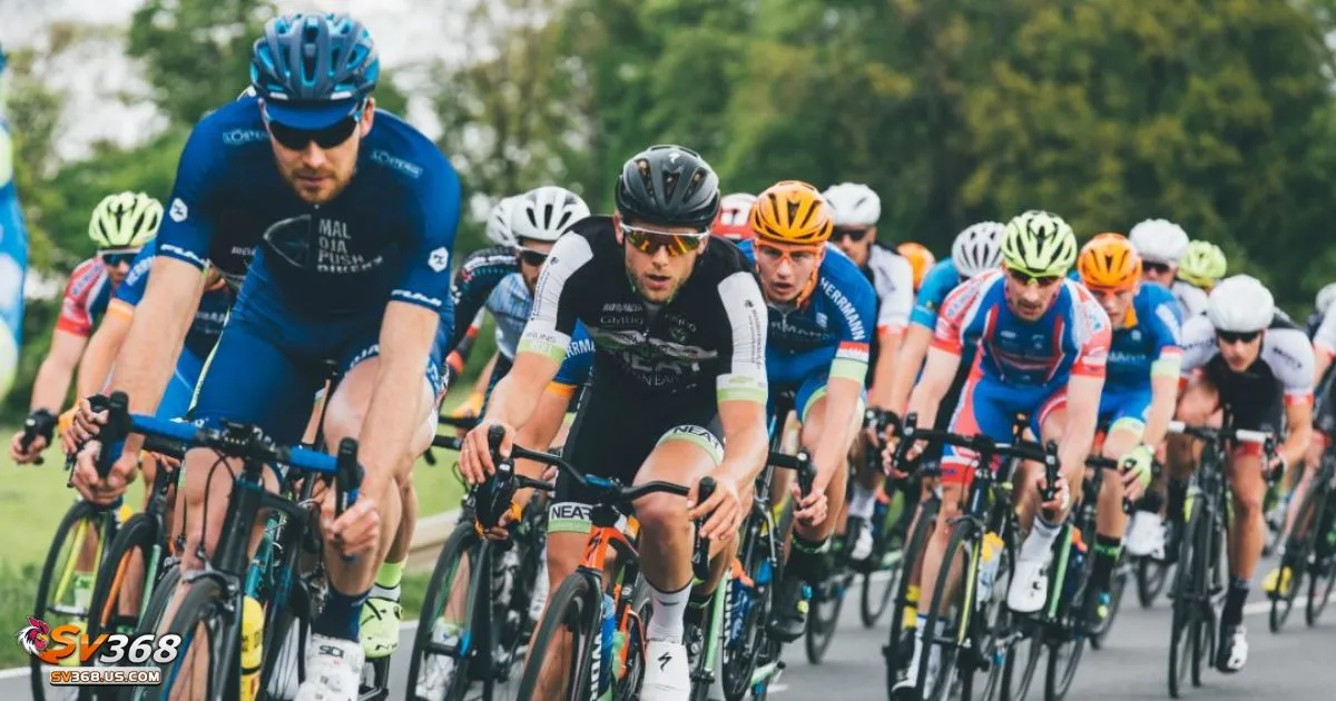 Cược Đạp Xe SV368 - Cách Cá Cược Giải Đua Xe Đỉnh Cao 3 Cược Đạp Xe SV368 - Tại sao cá cược đua xe đạp lại thu hút?