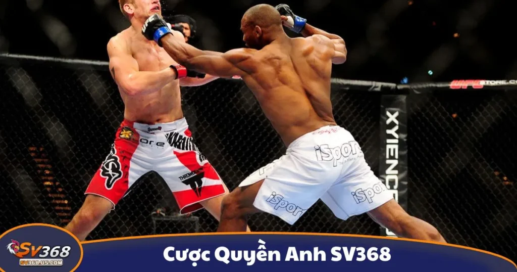 Cược Quyền Anh SV368: Cách Đọc Kèo Và Đặt Cược Đúng 1 Cược Quyền Anh SV368: Cách Đọc Kèo Và Đặt Cược Đúng