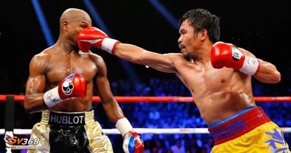 Cược Quyền Anh SV368: Cách Đọc Kèo Và Đặt Cược Đúng 4 Kèo thắng trận – Cách phân tích phong độ của võ sĩ trước trận