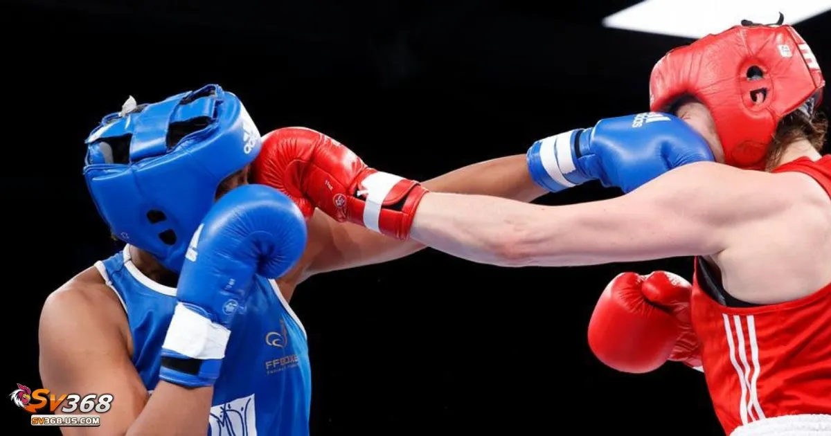 Cược Quyền Anh SV368: Cách Đọc Kèo Và Đặt Cược Đúng 3 Lợi ích của việc cá cược quyền anh trên SV368