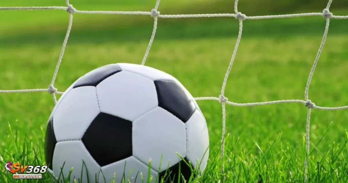 Kèo Chấp 1/2 SV368 - Cách Đọc Kèo Và Chiến Thuật Cá Cược 4 Kèo Chấp 1/2 SV368 - Khi đội cửa trên thắng – Nhận đủ tiền cược