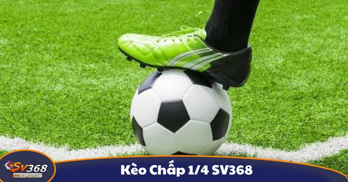 Kèo Chấp 1/4 SV368 - Cách Đọc Kèo Và Cách Chơi Hiệu Quả 2 Kèo chấp 1/4 là gì? Giới thiệu kèo cược phổ biến tại SV368