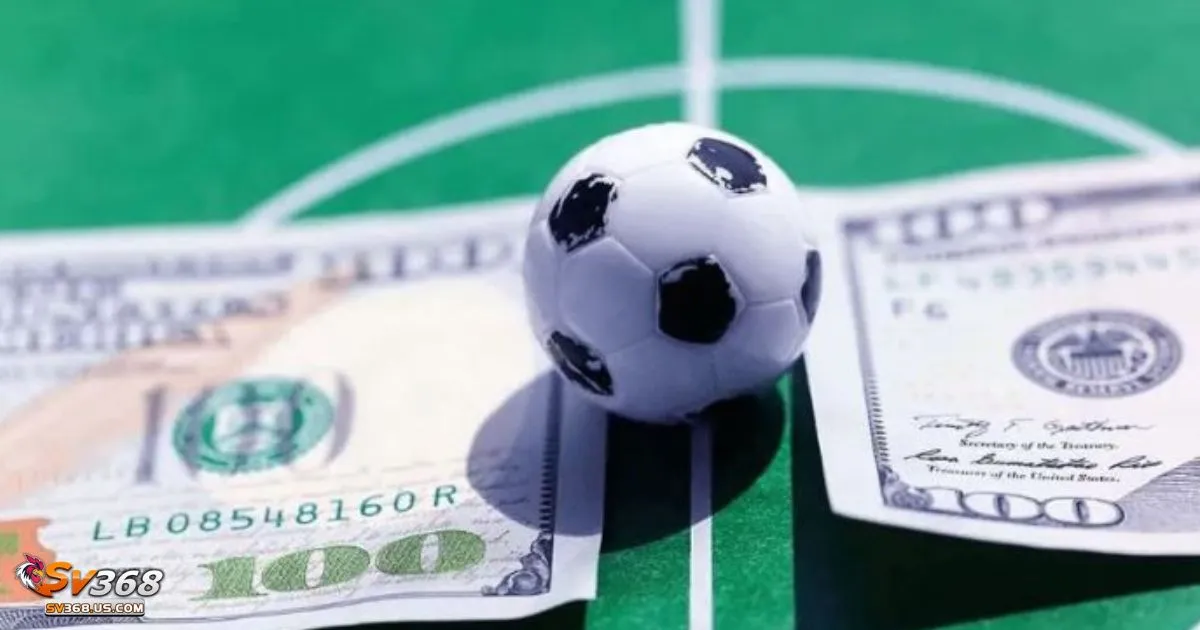 Kèo Chấp 1/4 SV368 - Cách Đọc Kèo Và Cách Chơi Hiệu Quả 3 Khi đội cửa trên thắng – Nhận toàn bộ tiền cược