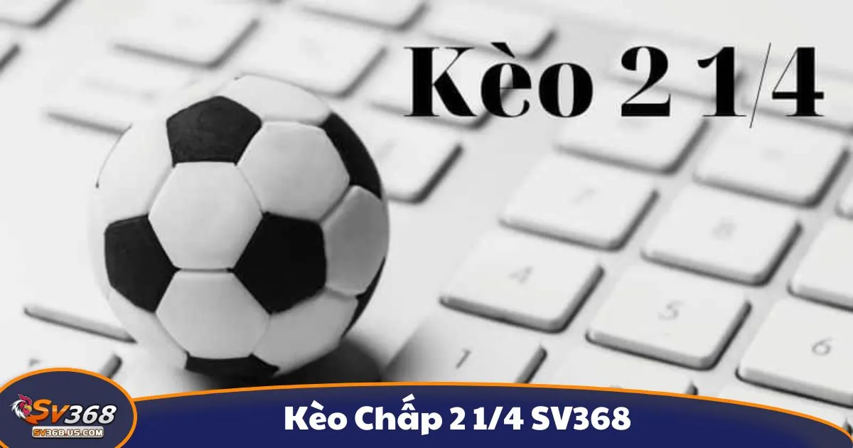 Kèo Chấp 2 1/4 SV368 - Cách Đọc Kèo Và Cách Đặt Cược 2 Kèo chấp 2 1/4 là gì? Cách đọc kèo tại SV368