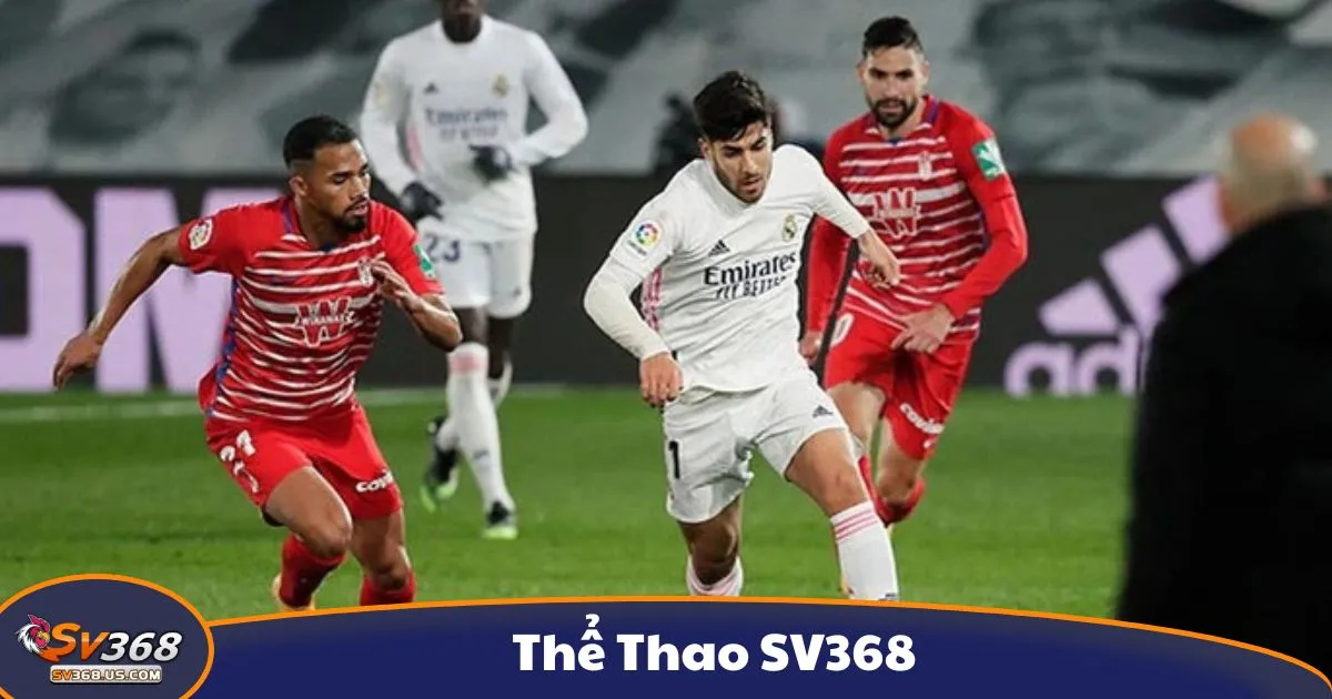 Cá Cược Thể Thao SV368 – Tỷ Lệ Kèo Hấp Dẫn, Trực Tiếp Mỗi Ngày 3 Mẹo Soi Kèo Thể Thao SV368 Để Tăng Cơ Hội Chiến Thắng