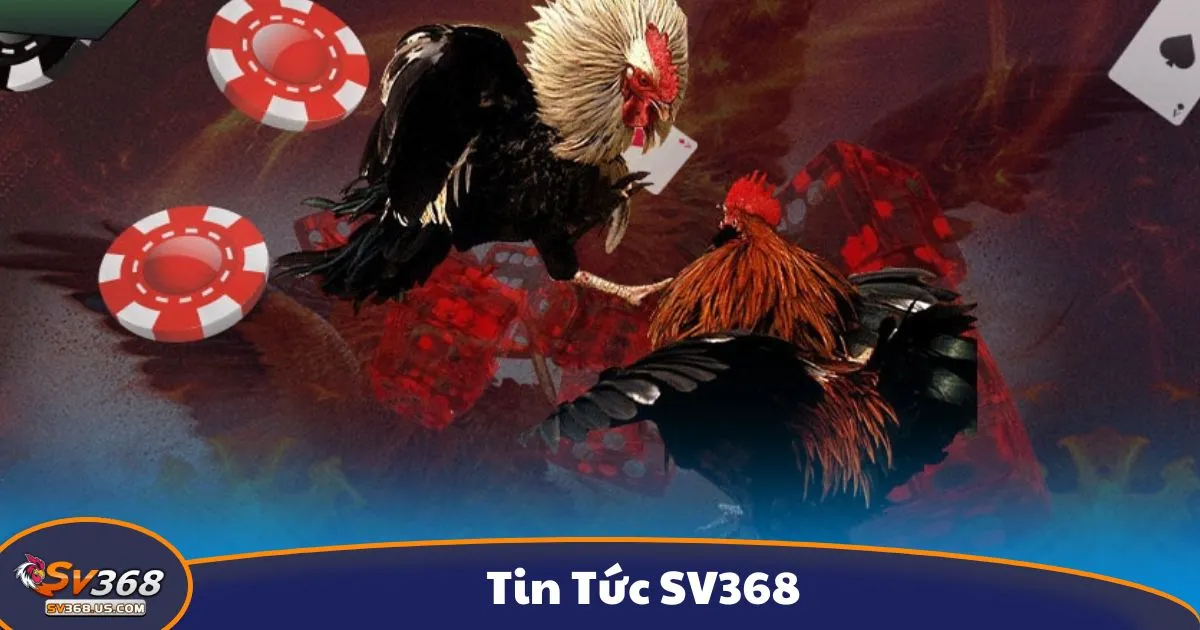 Tin Tức SV368 Mới Nhất – Cập Nhật Game, Khuyến Mãi 1 Những Tin Nổi Bật Về Cá Cược Tại SV368