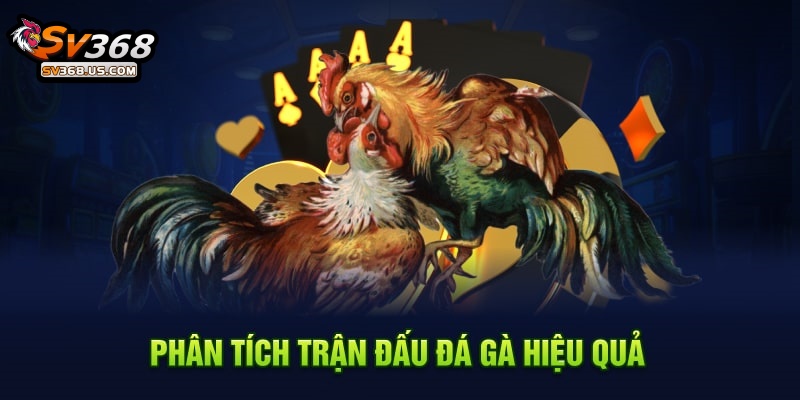 Cập Nhật Thủ Thuật Phân Tích Trận Đấu Đá Gà Hiệu Quả Tại SV368 Hấp Dẫn 2 Phân tích trận đấu đá gà hiệu quả SV368