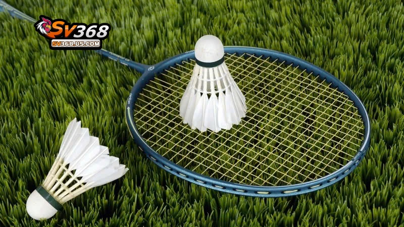 Cá Cược Cầu Lông Như Thế Nào Cho Chuẩn ? Hướng Dẫn Tại SV368 2 Cầu lông thu hút hàng triệu lượt chơi mới mỗi năm