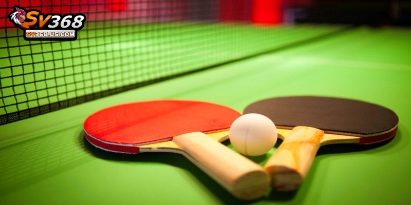 Cá Cược Bóng Bàn Tại SV368 – Bí Quyết Chơi Hiệu Quả Và Tối Ưu Lợi Nhuận 2 Bóng Bàn SV368