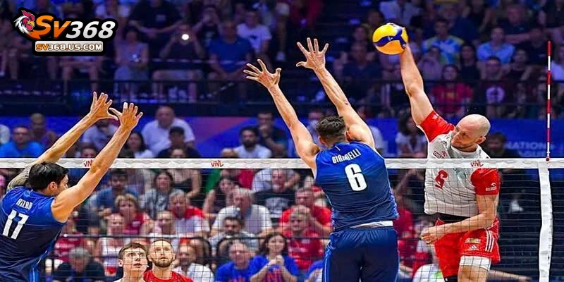 Thông tin không thể bỏ qua về cá cược bóng chuyền