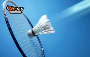 Cược chung cuộc phức tạp nhưng thưởng lớn