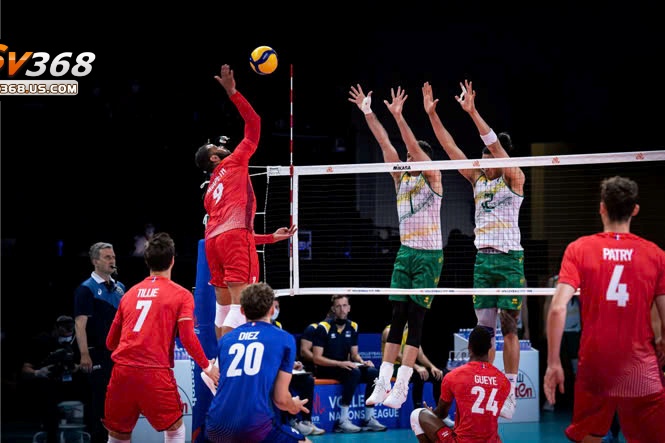 Kèo bóng chuyền có sự đa dạng và nhiều thử thách