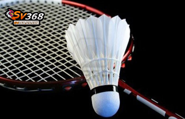 Cá Cược Cầu Lông Như Thế Nào Cho Chuẩn ? Hướng Dẫn Tại SV368 4 Phong độ thời khắc sẽ quyết định kết quả của trận