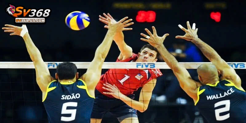 Lưu ý bỏ túi để chiến thắng cá cược bóng chuyền trực tuyến