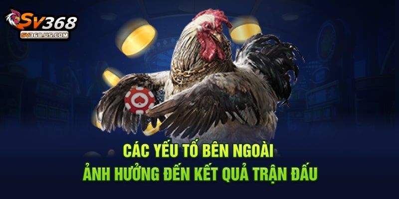 Cập Nhật Thủ Thuật Phân Tích Trận Đấu Đá Gà Hiệu Quả Tại SV368 Hấp Dẫn 5 Phân Tích Trận Đấu Đá Gà SV368
